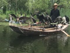 -白洋淀景区
