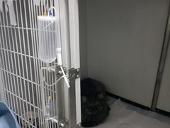 -全心全意连锁动物医院(加州店)