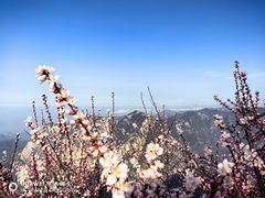 -华山风景名胜区