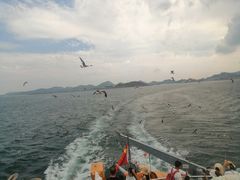 -海驴岛(荣成市)