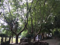 -南通博物苑-崇川人民公园