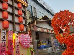 -后湖小院·乡野田园菜