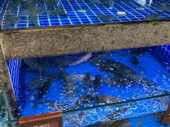 -徐记海鲜(梅溪新天地店)