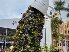 -深圳仙湖植物园