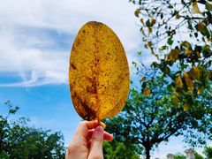 -厦门日月谷温泉渡假村