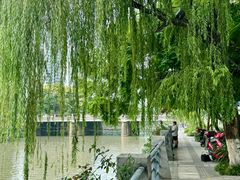 -成都市活水公园