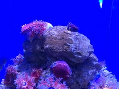 -青岛海底世界-水族馆