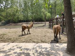 -溱湖国家湿地公园