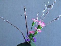 -安琪盲人按摩调理草本熏蒸馆(风和日丽店)