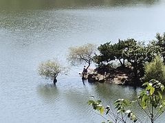 -黄巢水库
