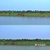 无为市竟然有这么神仙颜值的地方