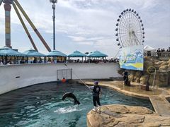 -秦皇岛乐岛海洋王国