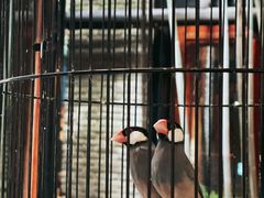 -鱼桥巷·美学川菜