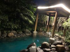 -张家港金凤凰度假村温泉