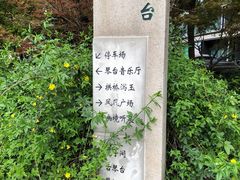 -月湖风景区