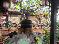 -园林美食城·本土农家菜(杨和镇店)