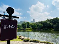 -牛首山文化旅游区