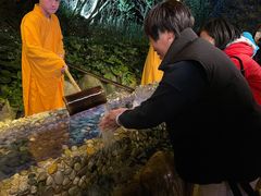 -印象普陀