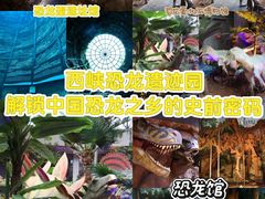 -中国西峡恐龙遗迹园