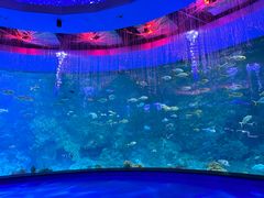 -海合安青岛极地海洋公园