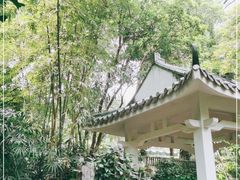 -广州兰圃