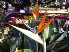 iphone_upload_pic-昆明动物园