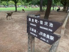 -奈良公园