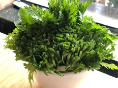 生上皇帝菜-龙泉人椰子鸡.糟粕醋.海南菜(三亚旗舰店)