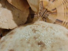 -小螺号海鲜·地道鲁菜(泉城广场店)