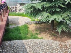 -辛玛王国游乐园