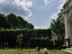 -翊宠yipet猫狗购宠庄园犬舍•猫舍