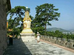 -普乐寺
