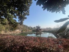 -冶父山国家森林公园
