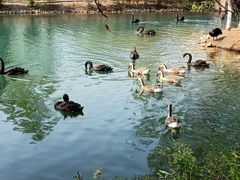 -长白岛森林公园