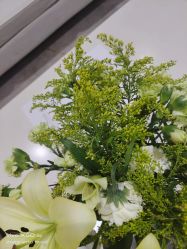 -HEYAN荷妍专业脱毛连锁机构