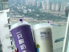 -一只酸奶牛(八一路店)