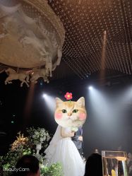 -格乐利雅婚礼艺术中心(浦东花木店)