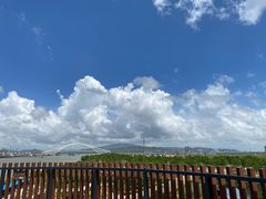 -芒洲湿地公园
