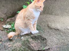 -崂山巨峰游览区