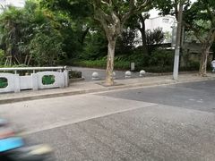 -兰溪青年公园