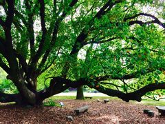 -上海兴国宾馆丽笙精选