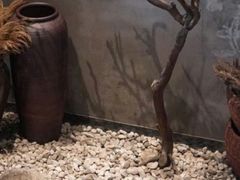 -沅江水·湖南家宴(南村万博长隆商圈店)