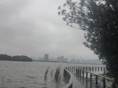-长广溪湿地公园