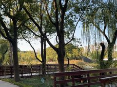 -新江湾城公园