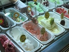 -柠檬车露(卖草地店)