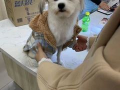 -宠颐生动物医院·小陆分院