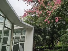 -四海公园(南山区)