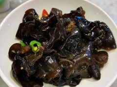 凉拌小木耳-心怡东北烤冷面(赤峰路店)