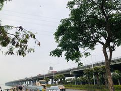 -宝安西湾红树林湿地公园