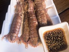 皮皮虾-鲁前海沿儿